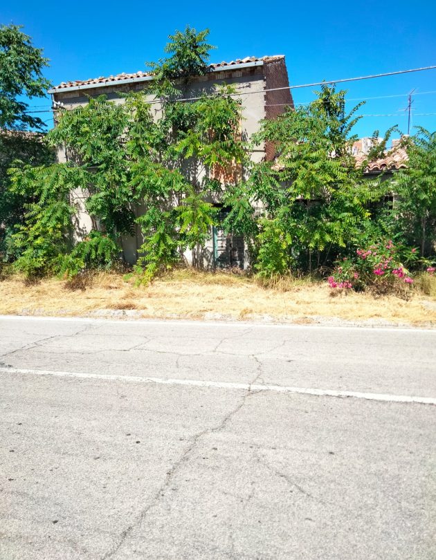 Immagine WhatsApp 2025-09-02 ore 17.40.05_48023bb4